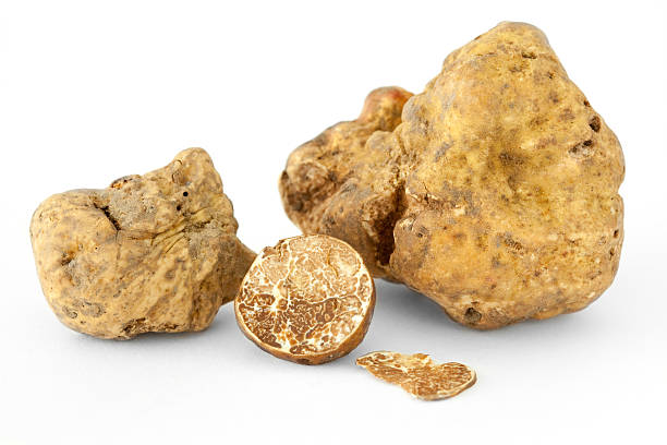 Anteprima mondiale Tartufo Bianco 2021. Boom da novembre e prezzi in calo