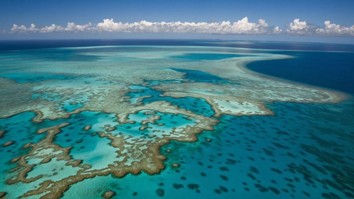 Barriere coralline, il primo punto di non ritorno è qui