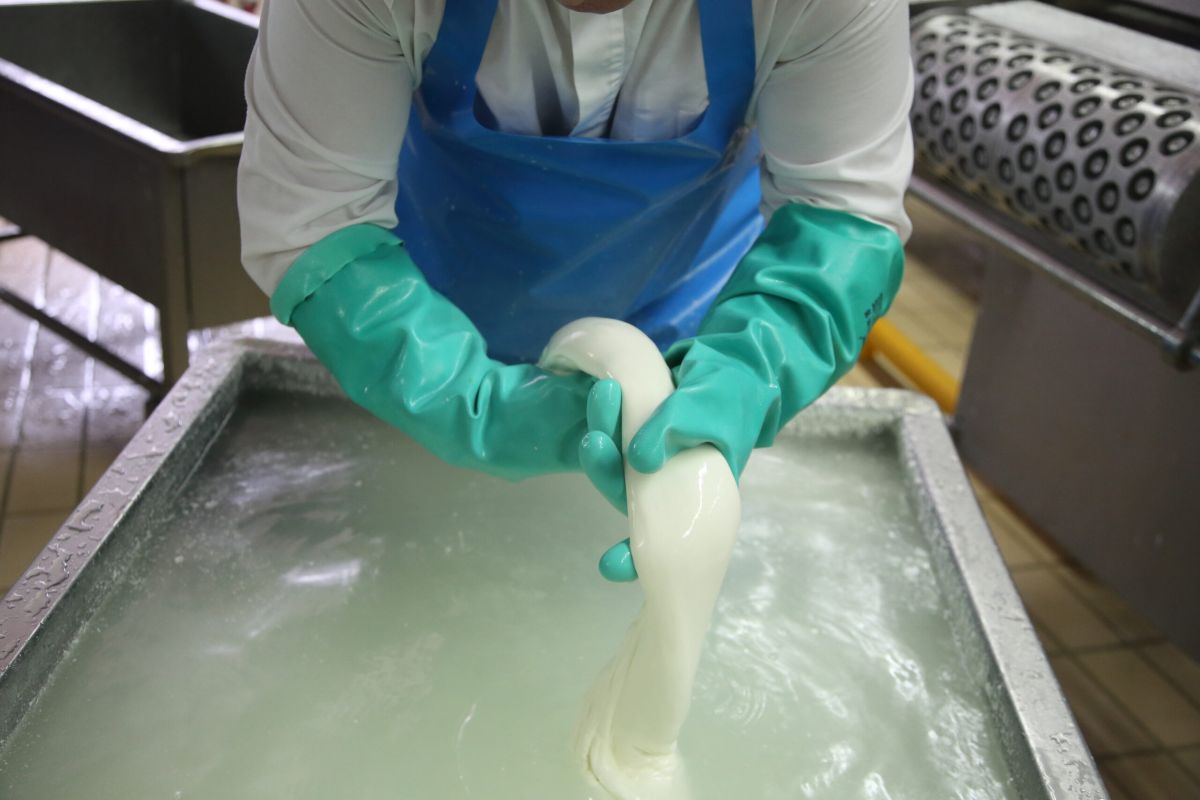 Mozzarella di bufala Dop avanti, ma burrata e fior di latte incalzano