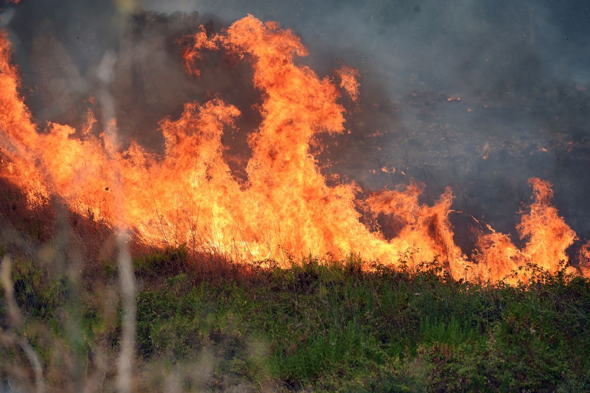 Corea del Sud, inferno nei boschi: incendi nel Sud-est, 19 morti e un pompiere disperso