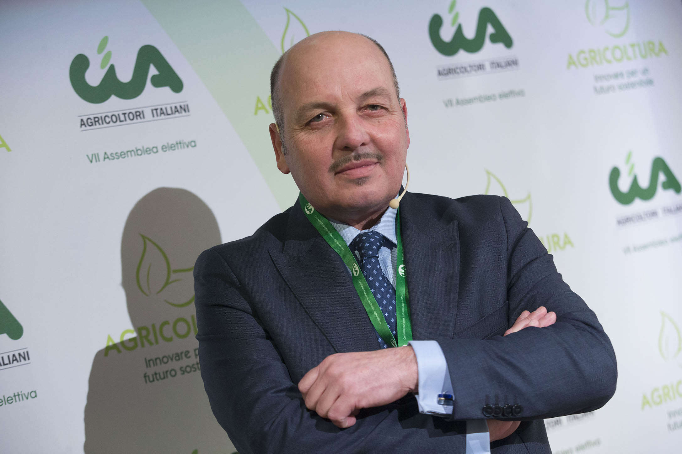 Olio: campagna 2021-2022 in lieve ripresa, bene oliveti irrigui e Sud Italia