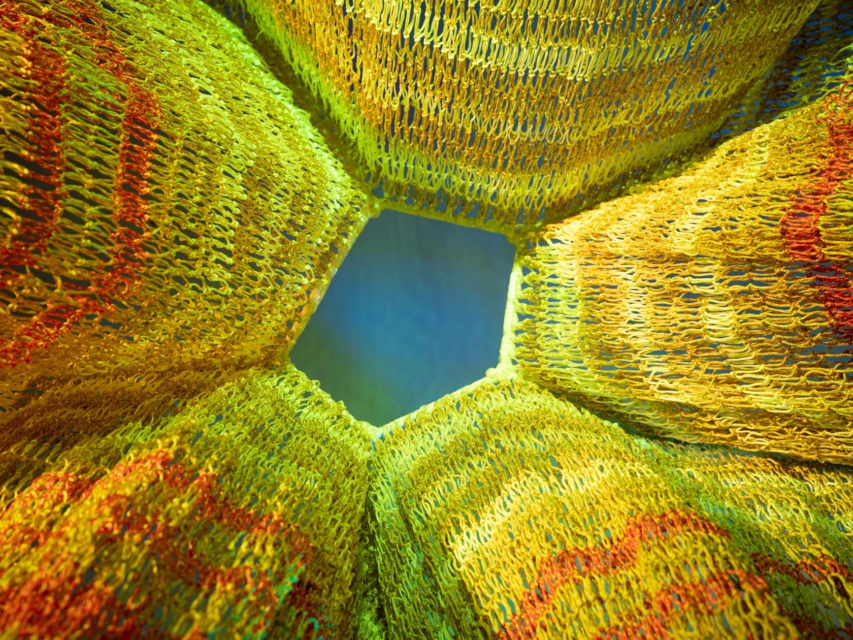 Tiziano, Michelangelo, Kandinskij brillano nel weekend dell’arte