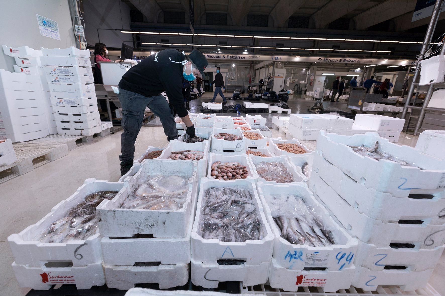 Feste: Cia, tra Vigilia ed Epifania sarà oltre 1 miliardo la spesa per i prodotti ittici