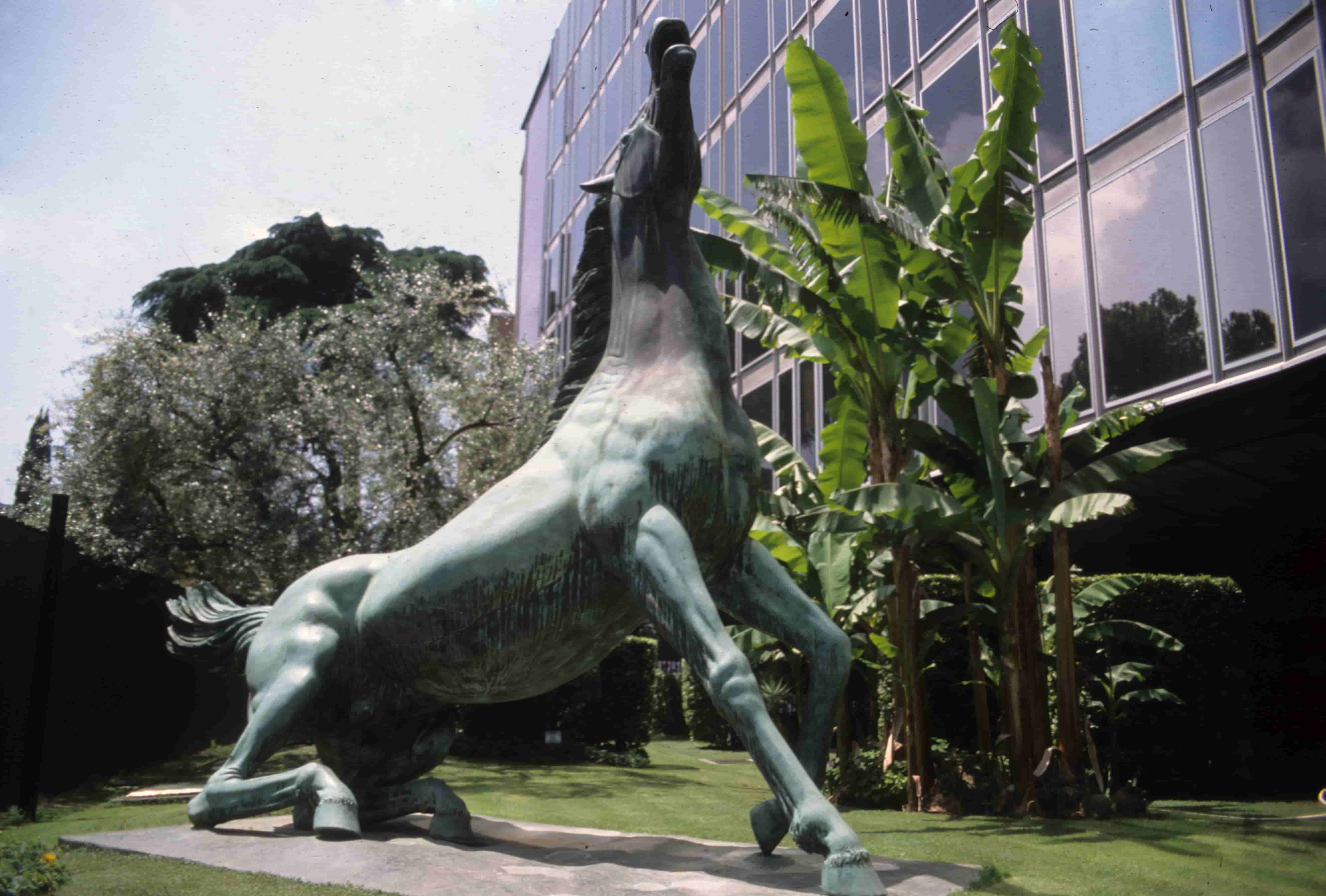 Canone Rai, e io pago!