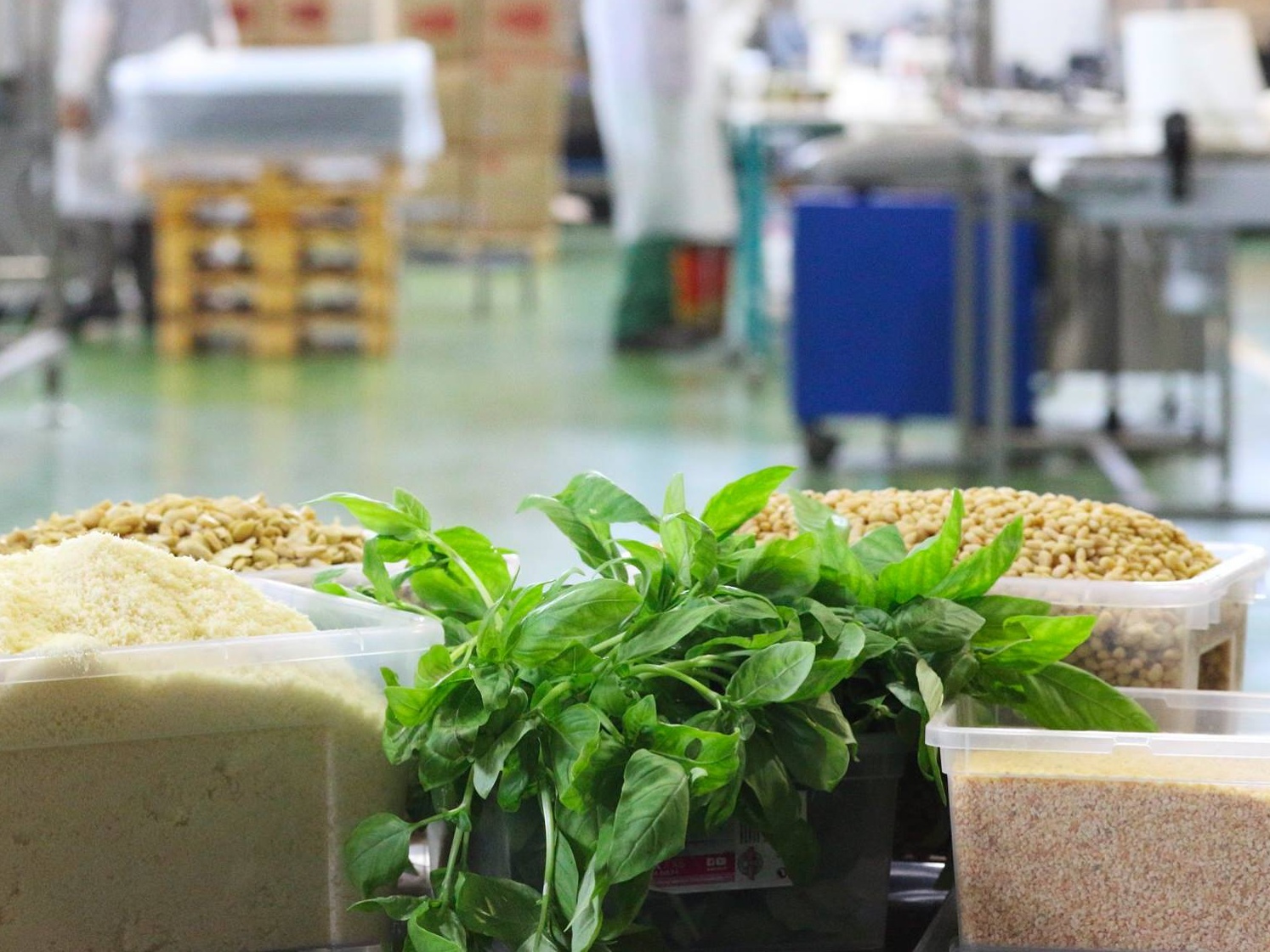 Il biologico in Italia cresce del 9%, ma i consumatori chiedono più chiarezza sui green claim