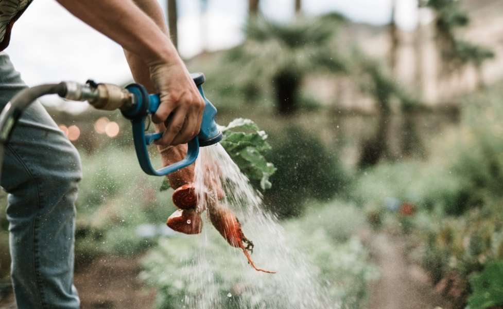 L'acqua per l'Italia, da essa dipende un quinto del PIL: una filiera da oltre 287 miliardi di Valore Aggiunto