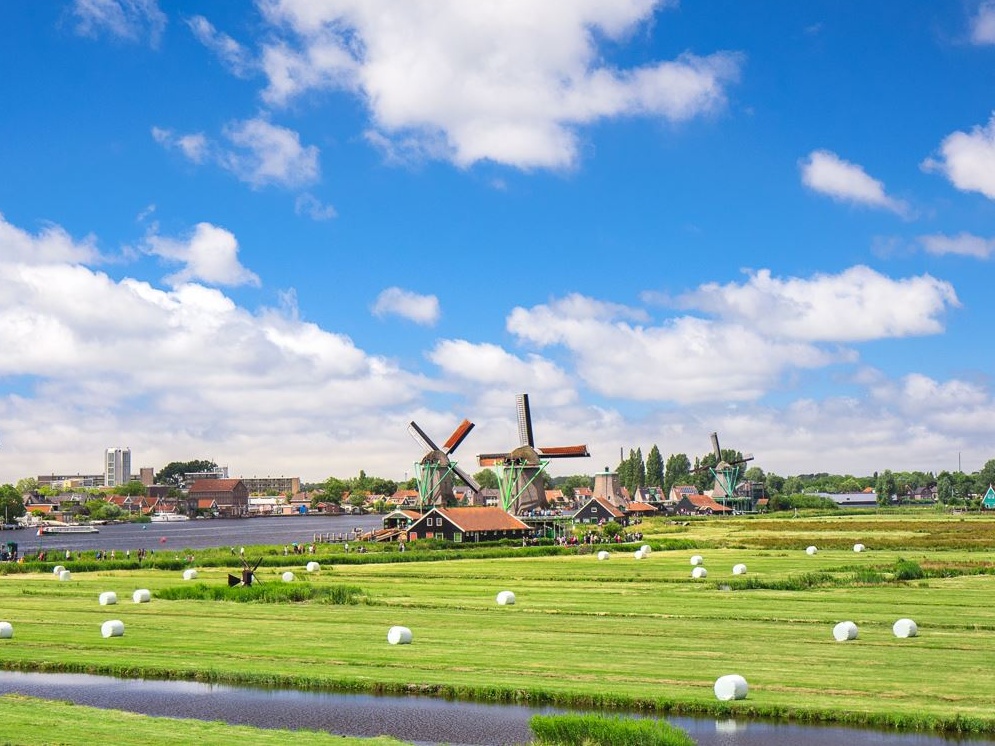 Ambiente: si dimette il ministro dell'Agricoltura dei Paesi Bassi