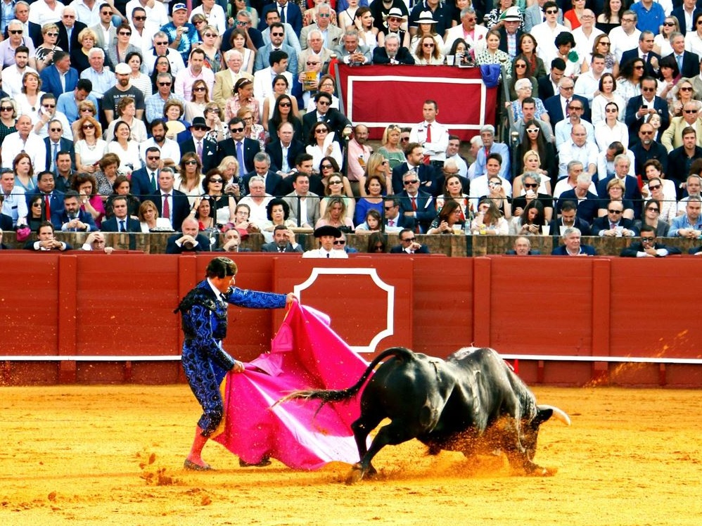 Messico, l’arena senza sangue: la corrida cambia volto tra applausi e proteste