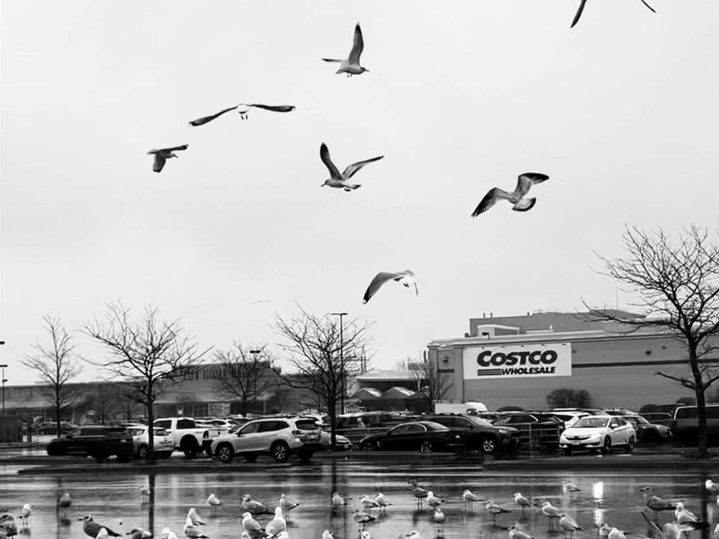 Usa, al supermarket come in gioielleria: Costco vende lingottini di platino