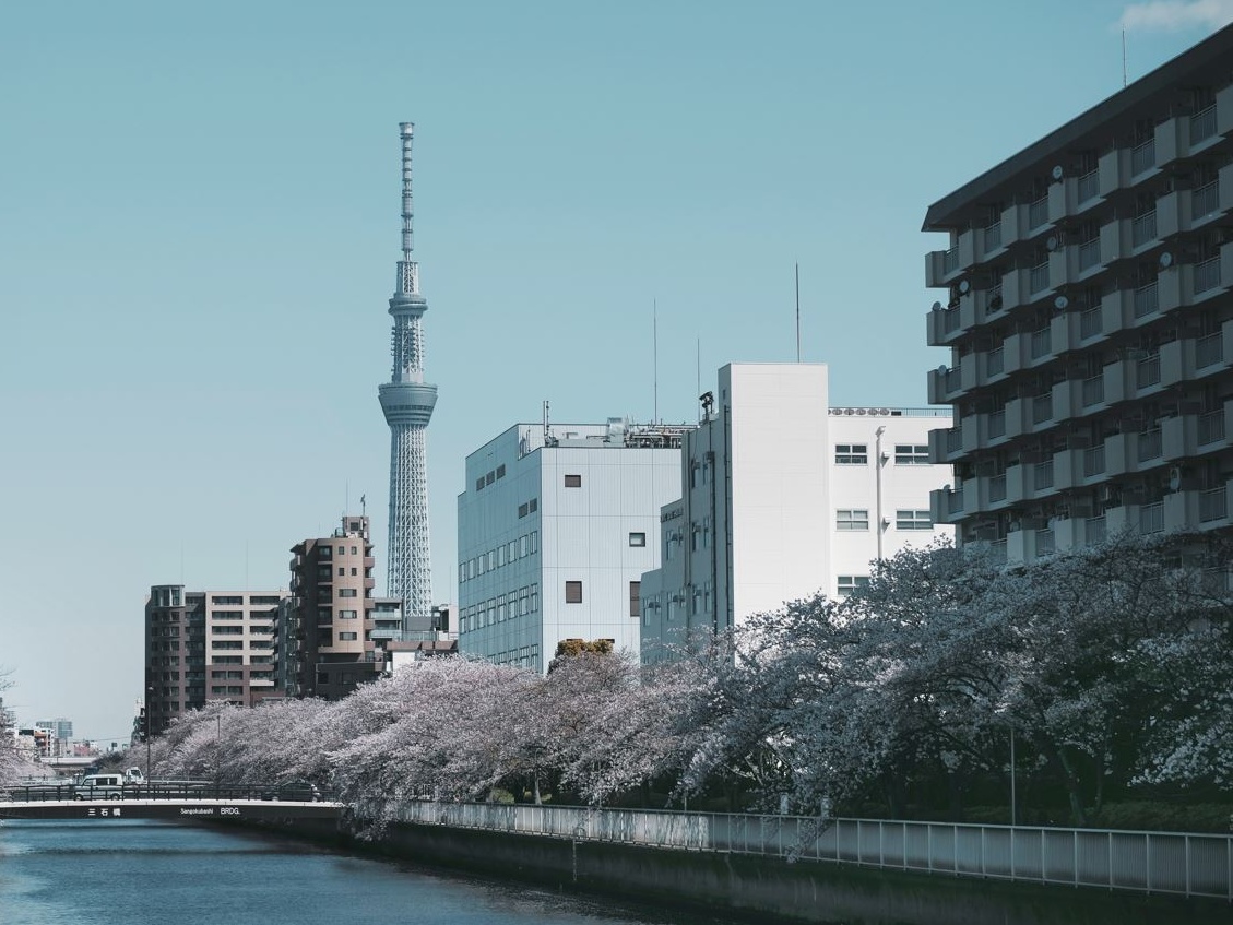 Terremoti: un 'Big One' a Tokyo impedirebbe a 4,5 milioni di persone di tornare a casa