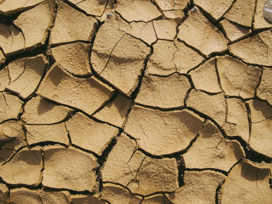 Carestie, clima e guerre: il cibo torna a essere una risorsa incerta