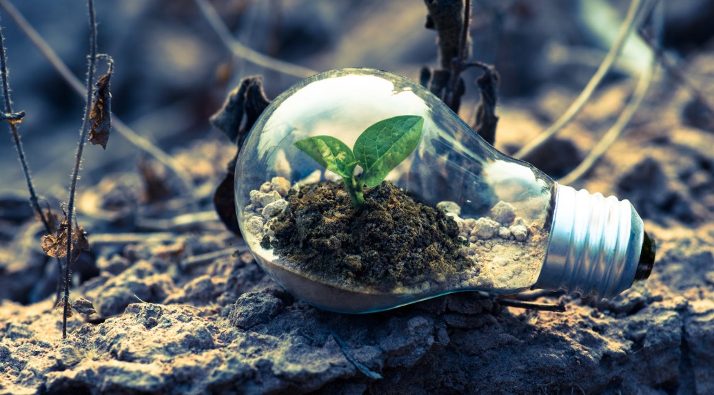 Green Economy: la rivoluzione dei consumi, per la creazione dell’uomo ecologico