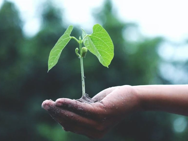 Riparte FoodSeed, il programma di accelerazione italiano in ambito Foodtech