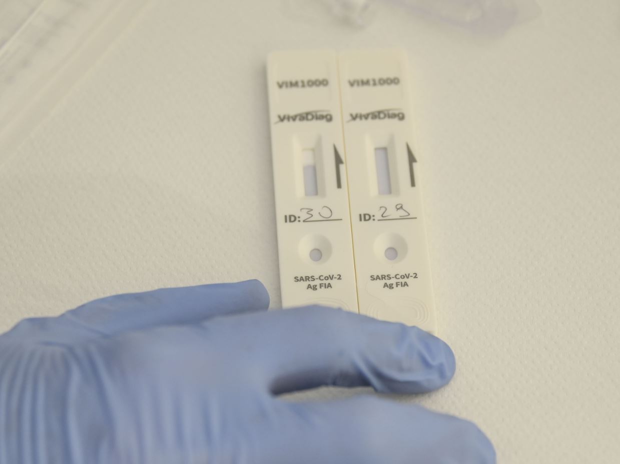 Covid-19: i dati di martedì 29 dicembre 2020