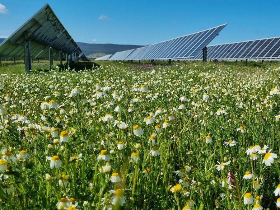 GAYA e Ener2Crowd.com insieme per realizzare un impianto agrovoltaico in Emilia-Romagna