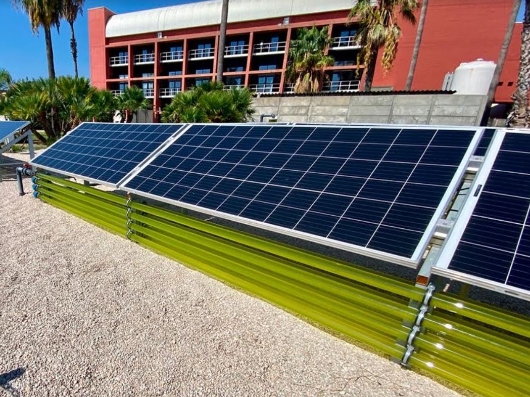 Energia: Enea presenta il primo impianto algovoltaico in Italia