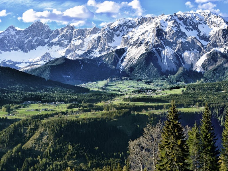 2024: Un anno critico per i ghiacciai alpini e la biodiversità