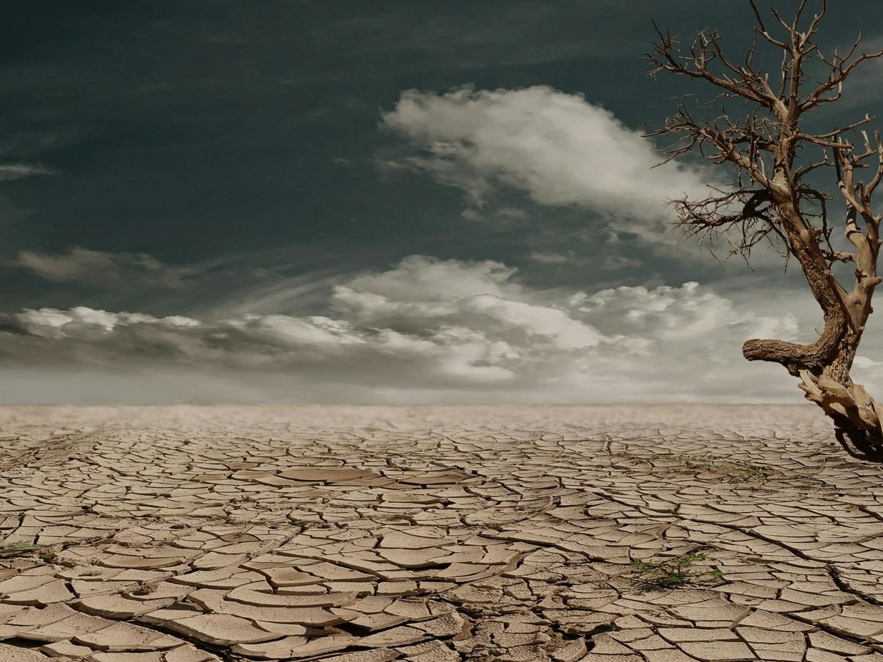 Italiani e ambiente: cresce consapevolezza su cambiamenti climatici e inquinamento