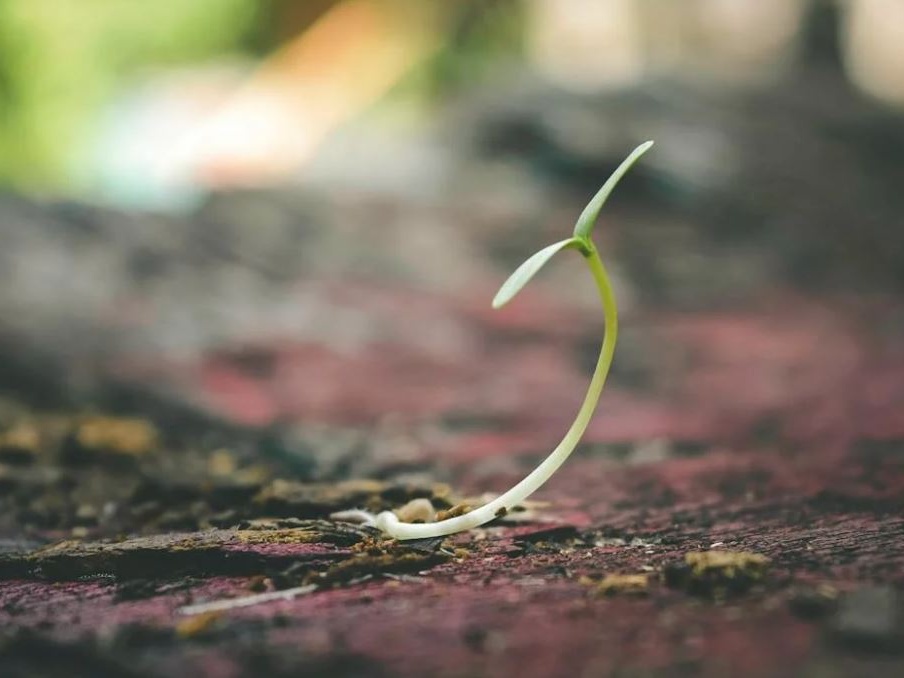 “Volontari senza età” su La Nuova Ecologia di febbraio
