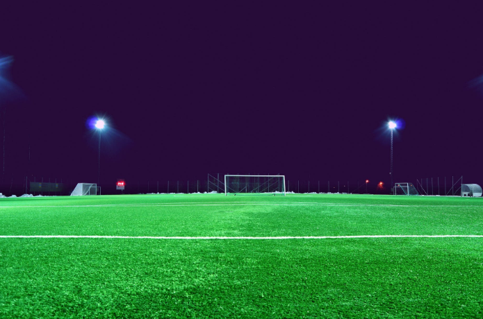 Francia, 400 persone si riuniscono per assistere a una partita illegale