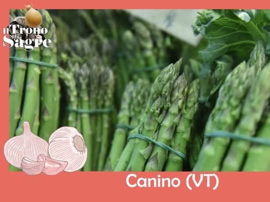 Canino e la frittata più grande del mondo: il cibo come memoria collettiva
