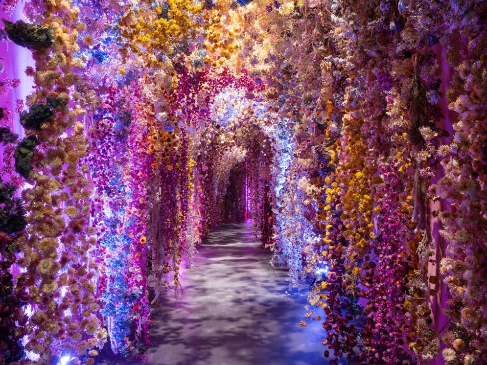 Dal potere dei fiori a Casorati, le mostre da non perdere nel weekend di San Valentino