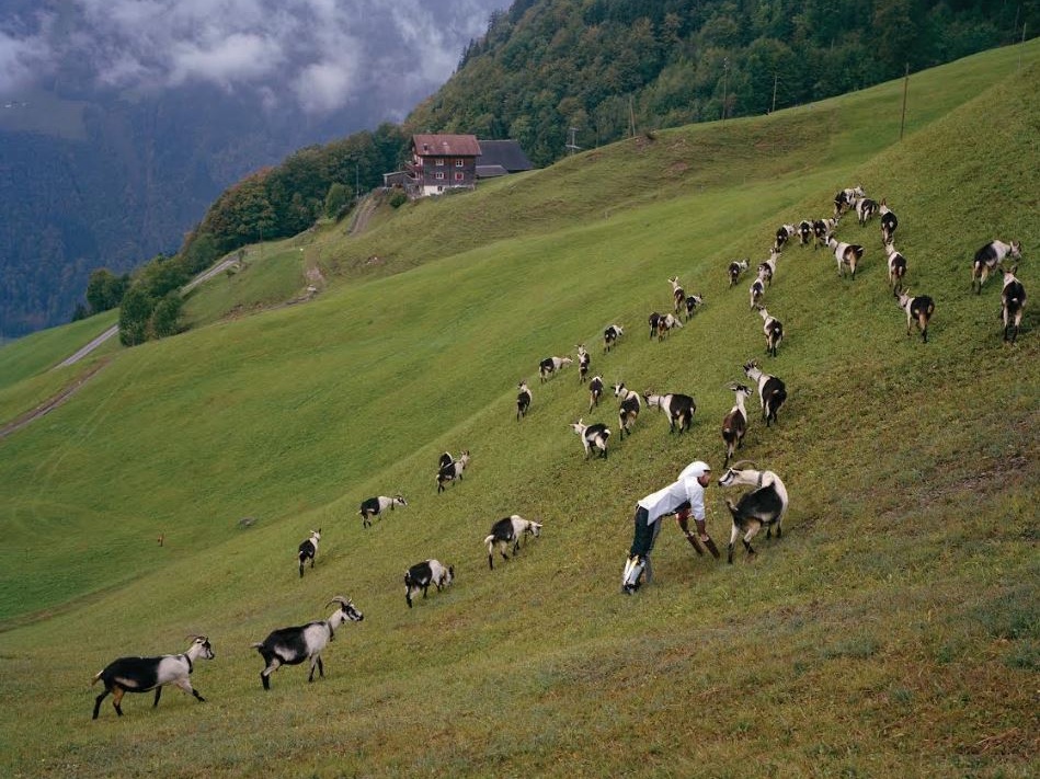 Dall’espressionismo italiano a Dürer, le mostre del weekend