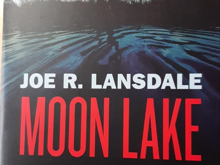 La nostra biblioteca - Joe R. Lansdale - Moon Lake - Raccontare l'America, attingendo all'universo degli stereotipi