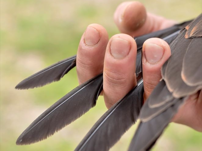 Premio Driving Energy - Fotografia Contemporanea, la seconda edizione del concorso promosso da Terna ormai è un cult