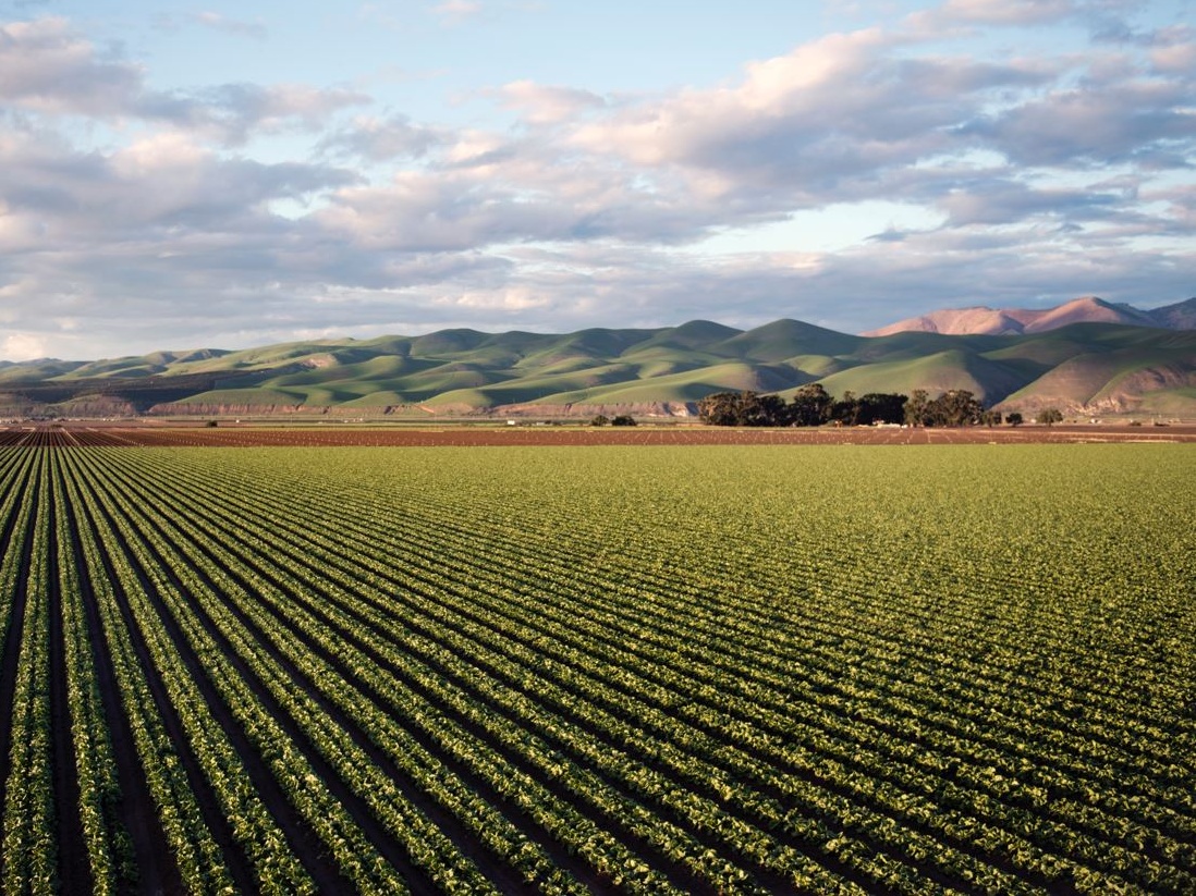 Renergetica e REM Tec insieme per lo sviluppo di progetti agrivoltaici