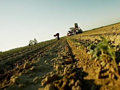 Operaio indiano morto a Latina: la fine di Satnam un'offesa per la civiltà del Paese
