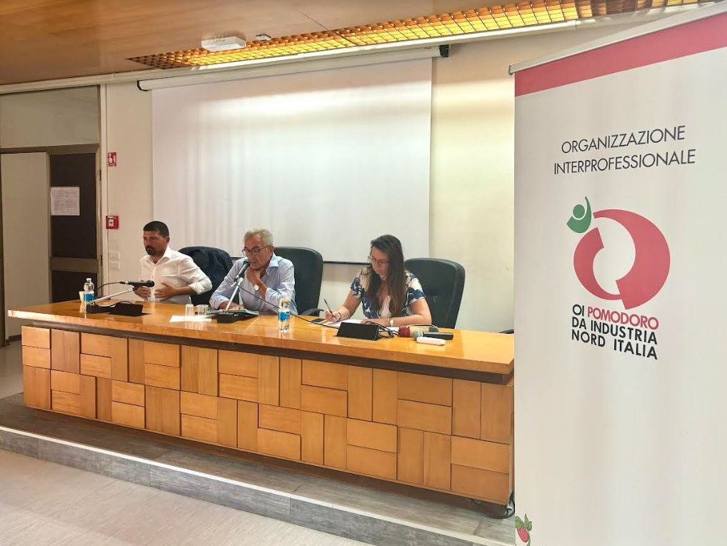 OI Pomodoro da Industria Nord Italia: il primo bilancio sulla campagna 2024