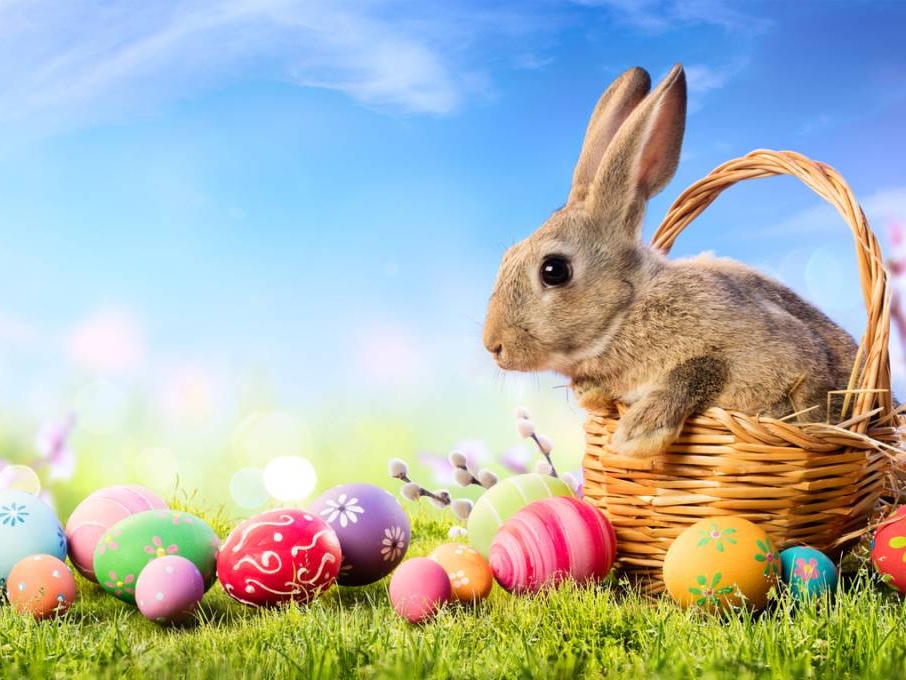 Quel che resta del forno: convivialità pasquale in famiglia ai tempi della pandemia