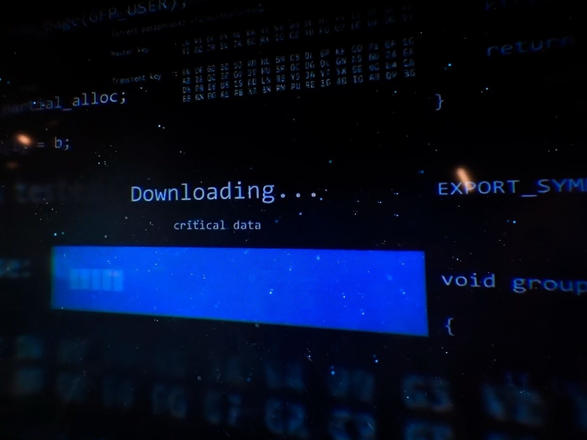 Under 35, laureato, maschio, del Sud: ecco il ritratto del pirata da tv. Come lui 4 italiani su 10