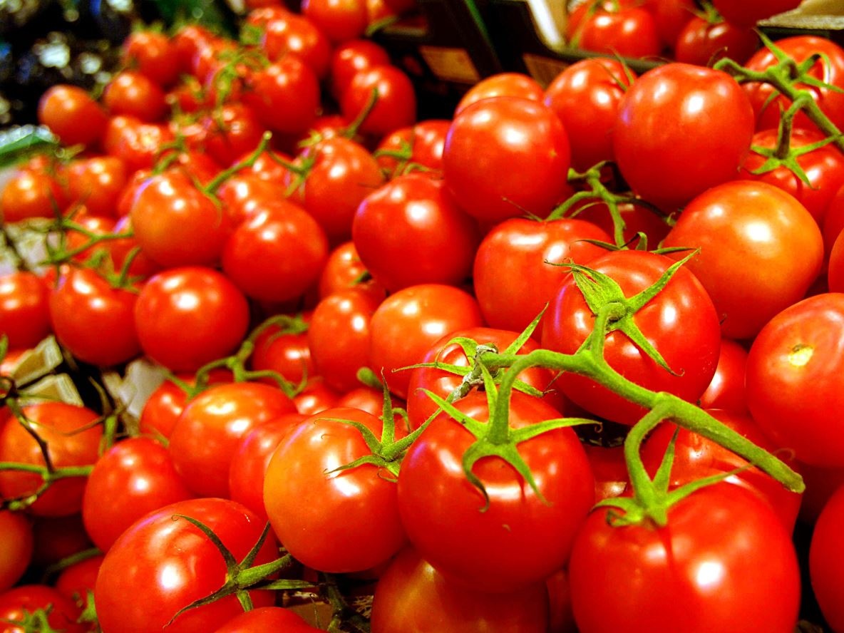 Pomodoro, stop all’assalto cinese: crollo del 76% dell’export verso l’Italia