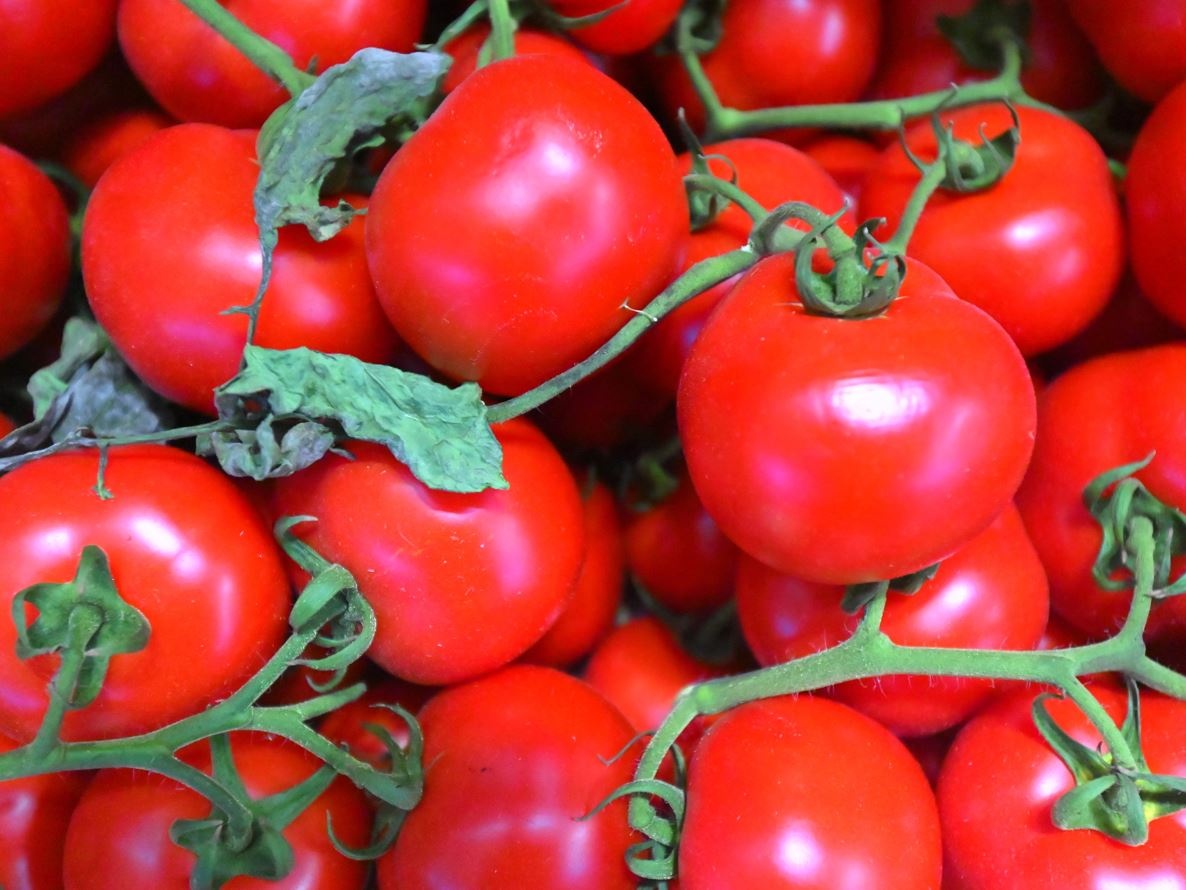 Coldiretti-Princes: accordo per tutelare il pomodoro 100% italiano