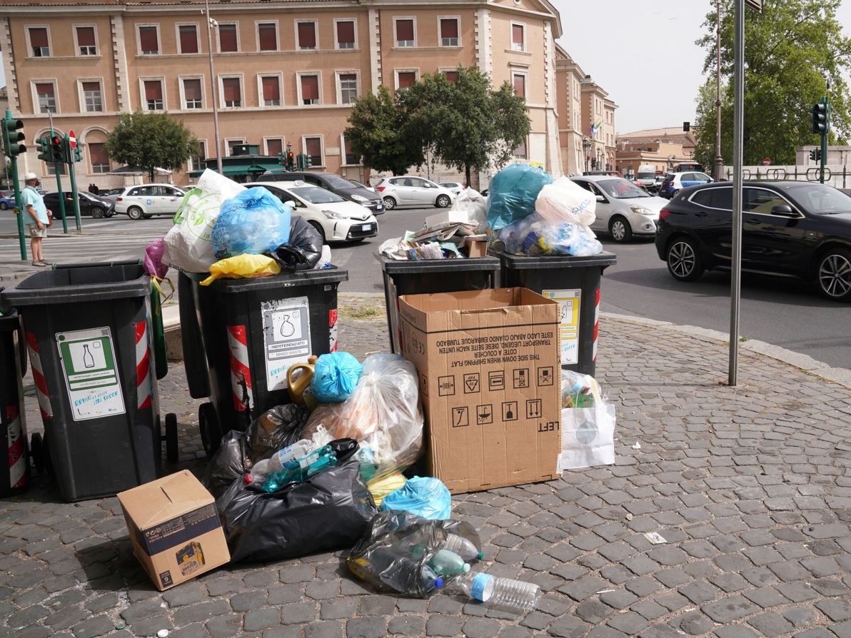 Le blatte di Roma e il nostro analfabetismo ecologico