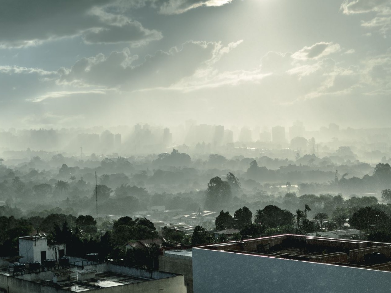 Lo smog ha causato, nel 2020, 238.000 decessi prematuri in Europa