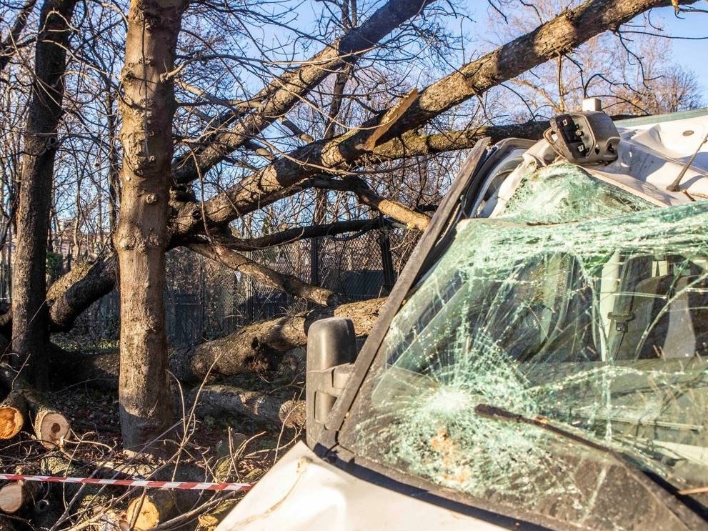 Coldiretti: Allarme vento: 20 bufere dall'inizio dell'anno