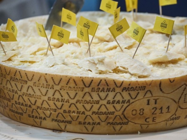 Mps e Grana Padano: plafond da “500 milioni” per credito alla filiera Dop