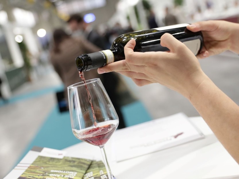 Vini veneti: i 7 top tra Amarone e Prosecco, la guida che muove il business