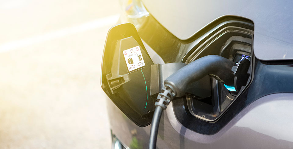 Appello al Governo per un piano strutturale di sostegno alla transizione ecologica