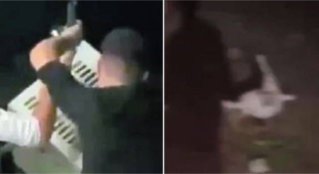 Piccoli mostri crescono